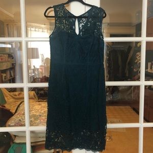 Adrianna Papell Blue Lace Dress